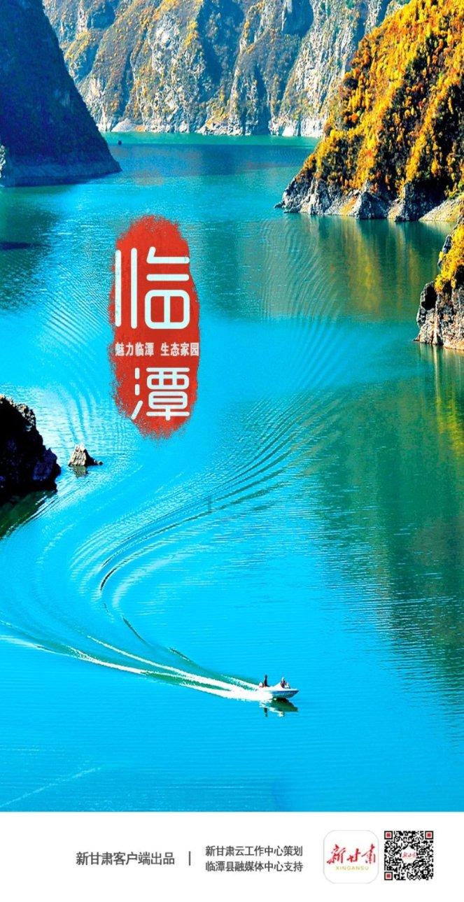 小猫钓鱼游戏龙王版有船