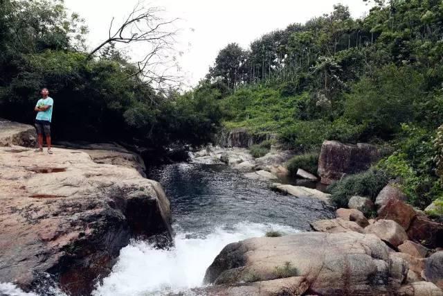 春雨直播app