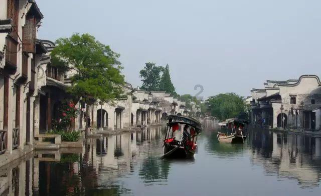 春雨直播app