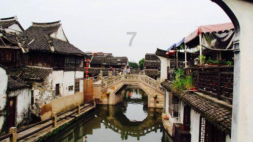 商务英语和旅游英语专业相比，哪个更有就业前景？